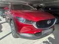 Mazda CX-30 Exclusive-Line 186 PS *Matrix-LED*Bose*GSD* Roşu - thumbnail 4
