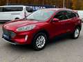 Ford Kuga Plug-In Hybrid Titanium, AHK, WinterP Rot - thumbnail 3