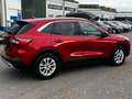 Ford Kuga Plug-In Hybrid Titanium, AHK, WinterP Rot - thumbnail 8