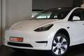 Tesla Model Y Model Y RWD BTW Navi Cam Pano AutoP DodeH Garantie Weiß - thumbnail 2