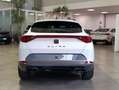 CUPRA Formentor Formentor 2.0 TDI*TELECAMERA POST*PDC*LED* Bianco - thumbnail 5
