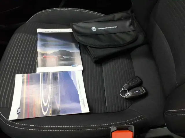 Ford Kuga view 15