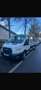 Ford Transit Custom Transit Custom Kombi 340 L1H1 2.0 EcoBlue 130 Trail Blanc - thumbnail 2