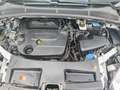 Ford Galaxy Galaxy Trend 2,0 TDCi DPF Trend Weiß - thumbnail 6