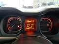 Fiat Panda Panda III 2012 1.2 Lounge 69cv E6 Bianco - thumbnail 8
