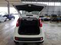 Fiat Panda Panda III 2012 1.2 Lounge 69cv E6 Bianco - thumbnail 4