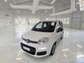 Fiat Panda Panda III 2012 1.2 Lounge 69cv E6 Bianco - thumbnail 2