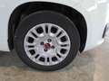 Fiat Panda Panda III 2012 1.2 Lounge 69cv E6 Bianco - thumbnail 13