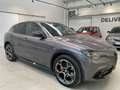 Alfa Romeo Stelvio Stelvio 2.2 Turbodiesel 210 CV AT8 Q4 Veloce Grigio - thumbnail 7