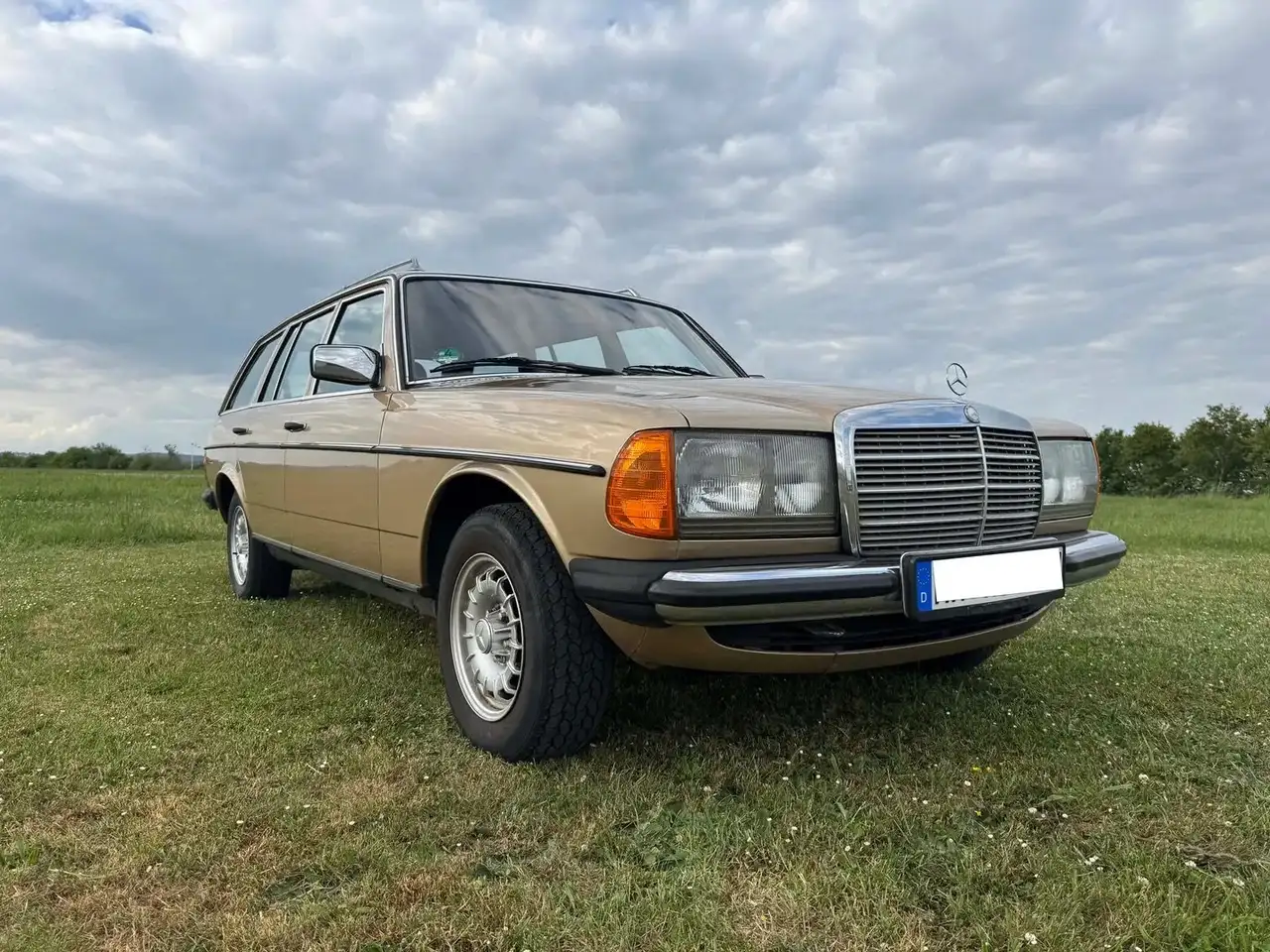 Mercedes-Benz 280 W 123 280 TE, foto 10
