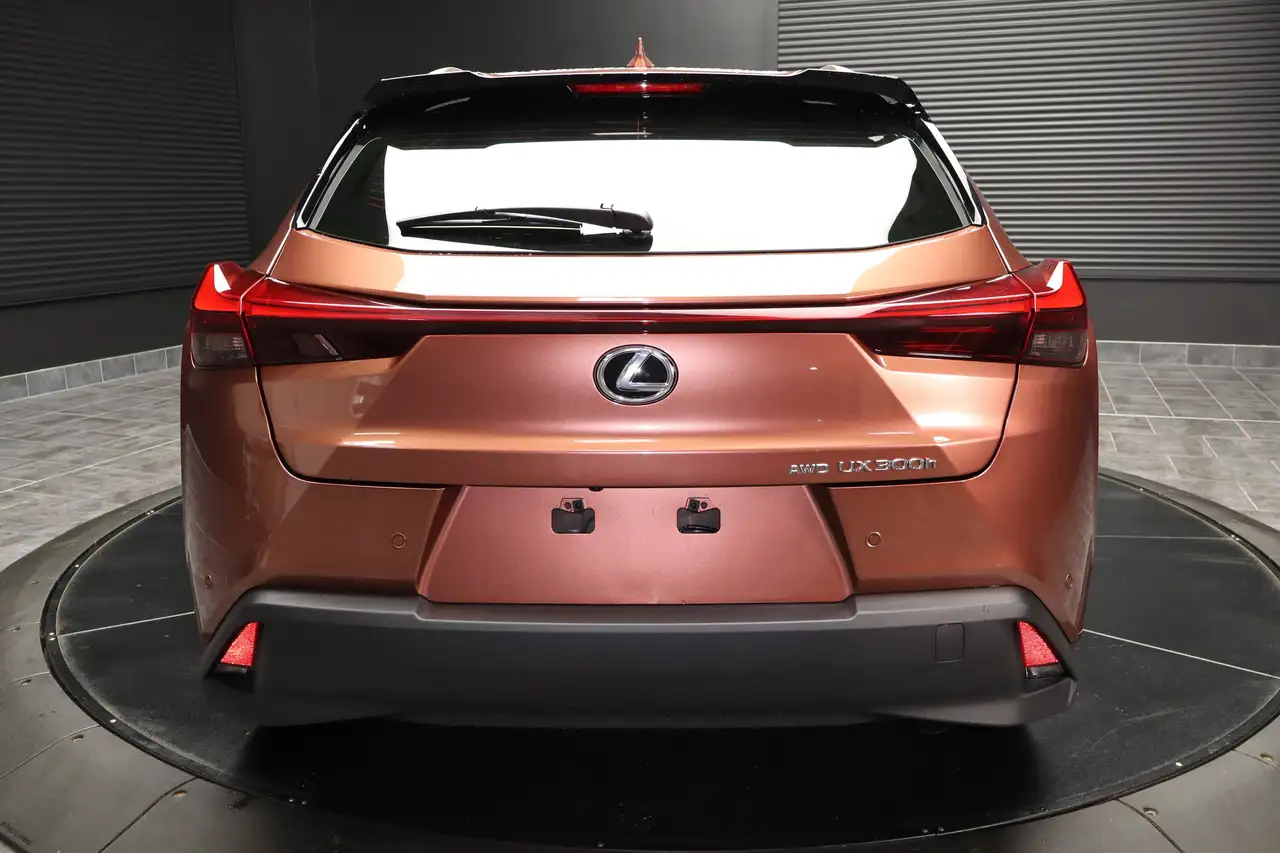 Lexus UX photo Lexus UX