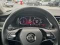 Skoda Octavia Combi 2,0 TDI Ambition DSG Blau - thumbnail 12