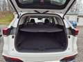 GWM WEY 03 WEY 03 Luxury 2WD PHEV 5 Jahre Garantie Blanc - thumbnail 12