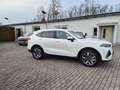 GWM WEY 03 WEY 03 Luxury 2WD PHEV 5 Jahre Garantie Blanc - thumbnail 4