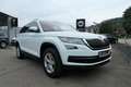 Skoda Kodiaq Ambition 4x4 /SHZG/ PDC/ AHK Weiß - thumbnail 4