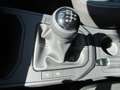 SEAT Ibiza 1,0 TSI Style Edition Rot - thumbnail 12