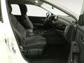 Nissan Qashqai N-Go 4x4 Blanc - thumbnail 11