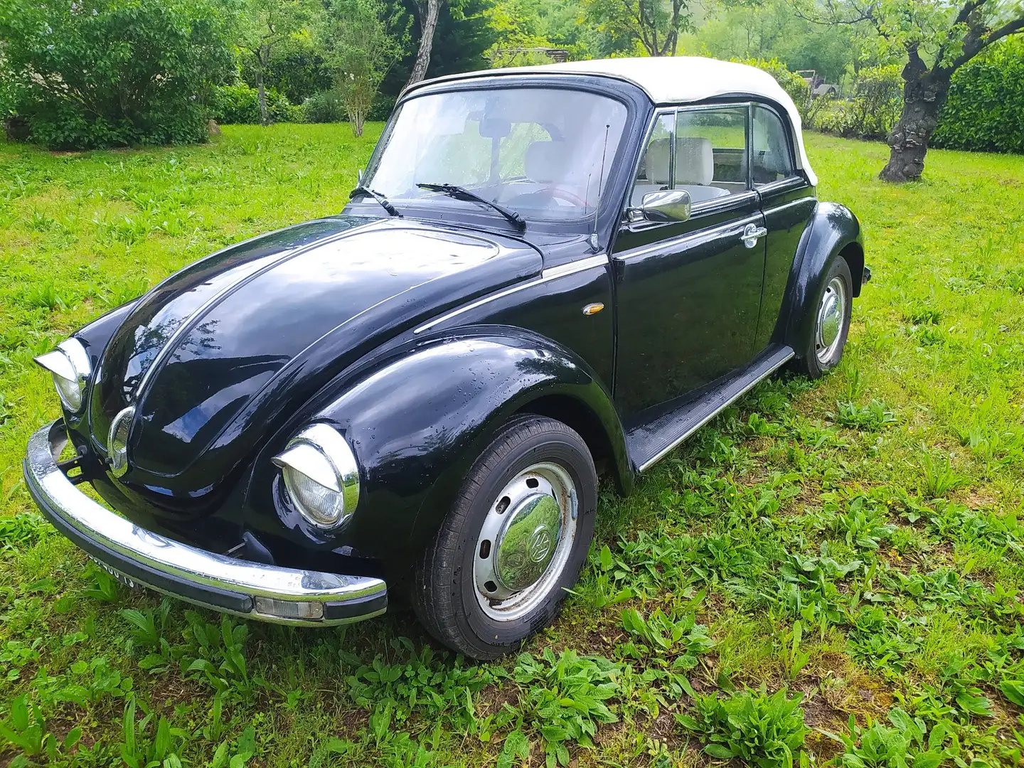 Volkswagen MAGGIOLONE CABRIOLET KARMANN - 1