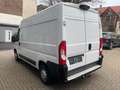 Fiat Ducato Hochr.-Kasten 30 130 L2H2 Navi Kamera PDC Weiß - thumbnail 4