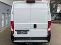 Fiat Ducato Hochr.-Kasten 30 130 L2H2 Navi Kamera PDC Weiß - thumbnail 5