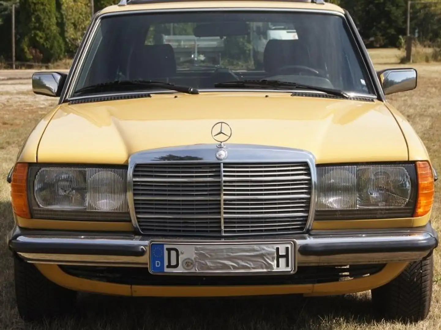 Mercedes-Benz 230 TE Yellow - 2