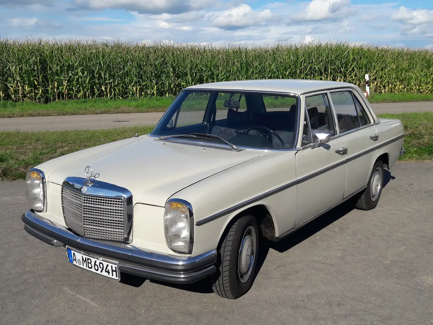 Mercedes-Benz 250 Strich 8 - 1