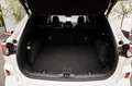 Ford Kuga Vignale PHEV  Pano  HUD  Leder  Trekhaak  ACC Blanc - thumbnail 14