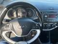 Kia Picanto FIFA World Cup Edition TÜV 01.2027 Schwarz - thumbnail 13