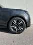 Land Rover Range Rover HSE D250cv AWD Auto Grigio - thumbnail 7