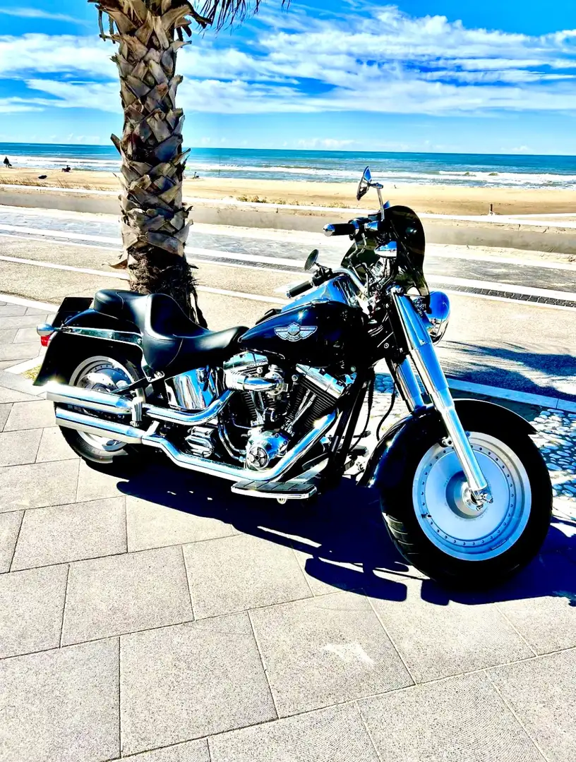 Harley-Davidson Fat Boy speciale centenario a carburatore - 1