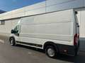 Fiat Ducato 150 L5H3 RS: 4035 mm Weiß - thumbnail 5