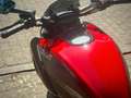 Ducati Diavel Carbon *direkt startklar Rouge - thumbnail 15