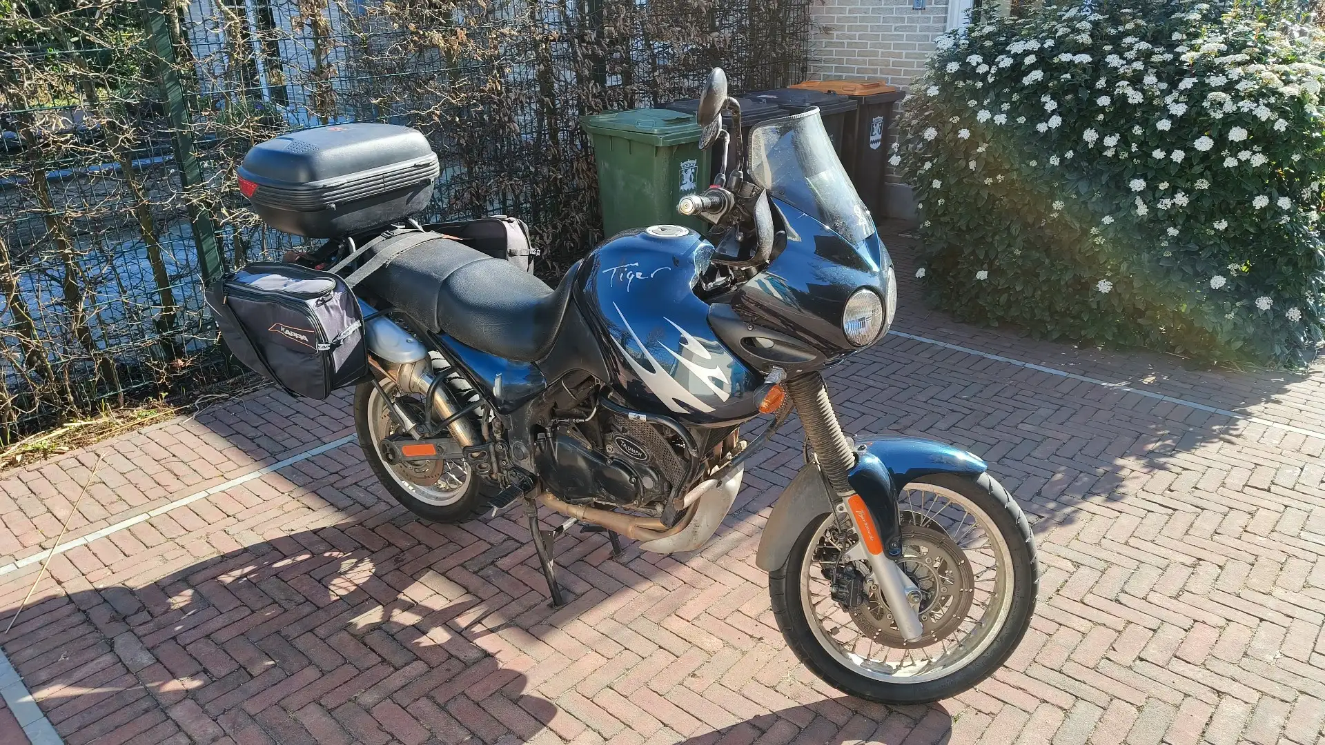 Triumph Tiger 855i Groen - 2