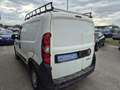 Fiat Doblo Cargo 1,3 SX Multijet Weiß - thumbnail 4
