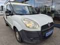 Fiat Doblo Cargo 1,3 SX Multijet Weiß - thumbnail 3
