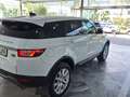 Land Rover Range Rover Evoque 2.0TD4 Pure 4WD Aut. 150 Blanco - thumbnail 4