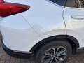 Honda CR-V CR-V V 2019 2.0 hev Lifestyle Navi ecvt Blanc - thumbnail 9