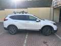 Honda CR-V CR-V V 2019 2.0 hev Lifestyle Navi ecvt Blanc - thumbnail 7