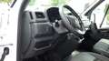 Renault Master ( Stock ID 58599) Weiß - thumbnail 16