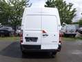 Renault Master ( Stock ID 58599) Weiß - thumbnail 6