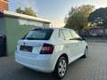 Skoda Fabia Cool Edition KLIMA ELEKTRISCHE FENSTER Blanc - thumbnail 6