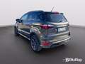 Ford EcoSport 1.0 EcoBoost 125 CV Start&Stop ST-Line Grigio - thumbnail 11