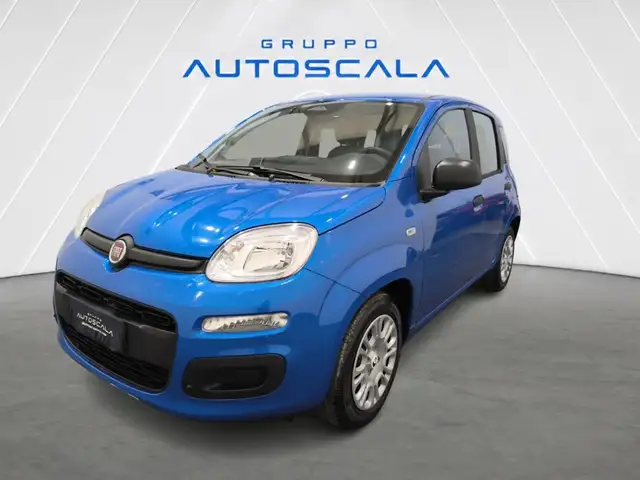 Fiat New Panda Pandina 1.0 FireFly 65 CV Hybrid Icon