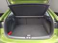 Volkswagen Taigo Goal 1,0 l TSI OPF 85 kW (116 PS) 7-Gang-D Grün - thumbnail 18