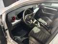 SEAT Ibiza Ibiza 1.0 EcoTSI 115 CV 5 porte FR Km Zero Bianco - thumbnail 9