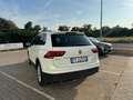 Volkswagen Tiguan 1.6 TDI Business BMT Wit - thumbnail 10