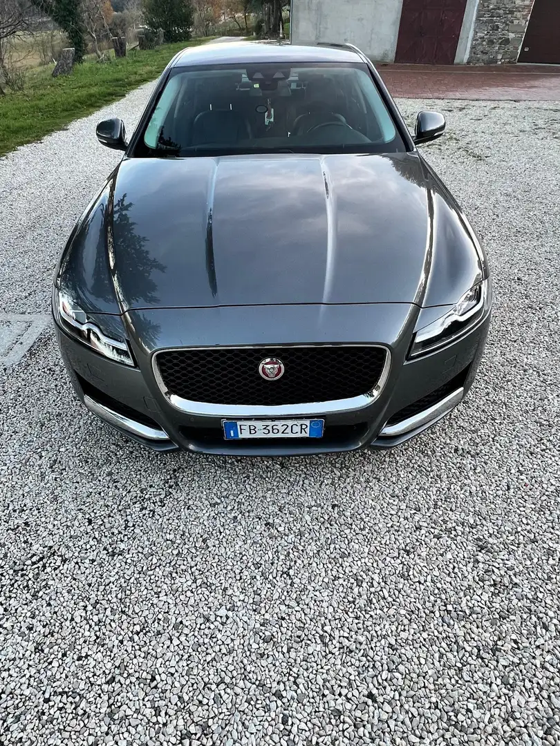 Jaguar XF 2.0d Business edition 180cv auto - 2