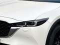 Mazda CX-5 ADVANTAGE AWD STDHZ LED 360 GRAD KAMERA HEAD UP Blanc - thumbnail 5