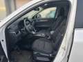 Mazda CX-5 ADVANTAGE AWD STDHZ LED 360 GRAD KAMERA HEAD UP Blanc - thumbnail 7