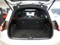 Mercedes-Benz GLS 350 d 4M AMG seltener Luxus 6-Sitzer Blanc - thumbnail 14